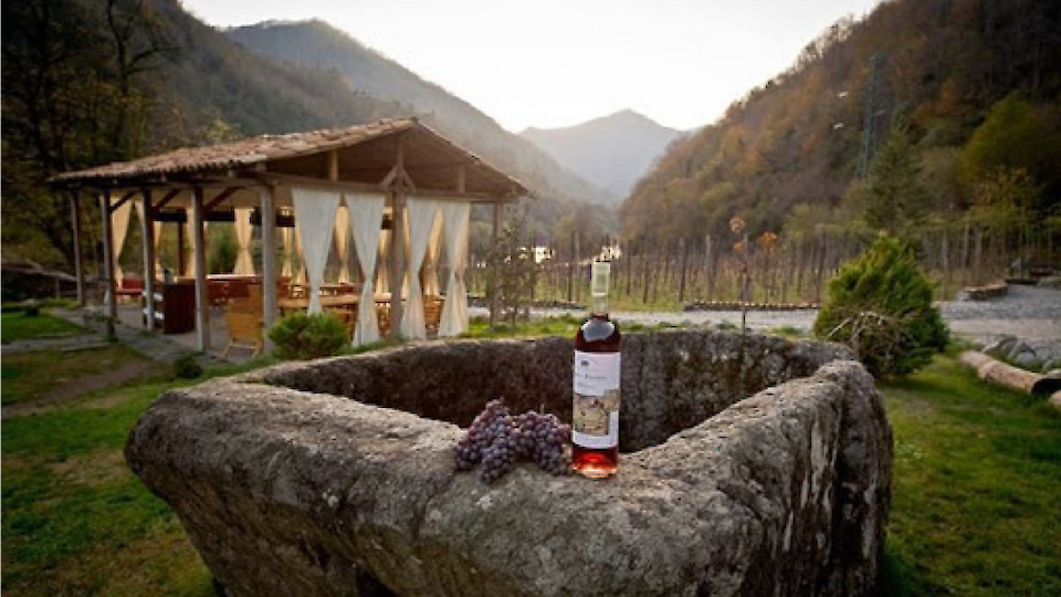 One-Day guided tour | Journey to the mountains and wine tour