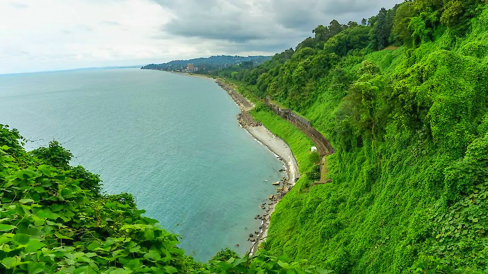 One-Day guided tour | Tour to Batumi Botanical Garden